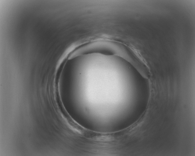 X0000082170102200701270010