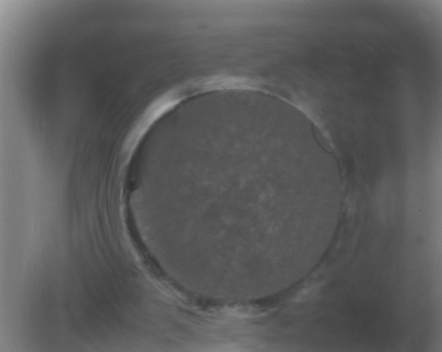 X0000082170103200701270010