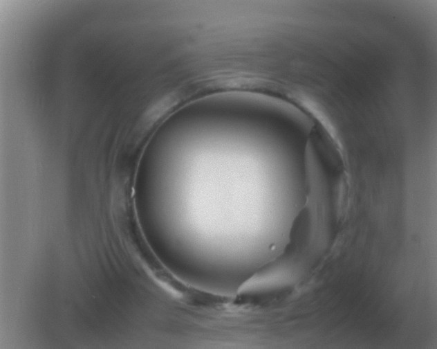 X0000082170105200701270010