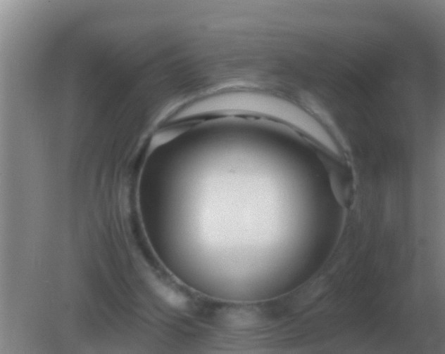 X0000082170106200701270010