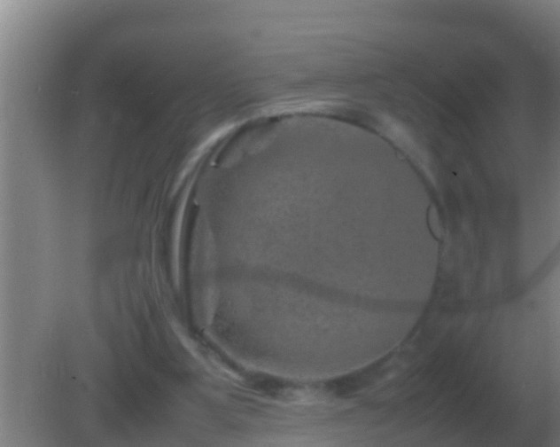 X0000082170107200701270010