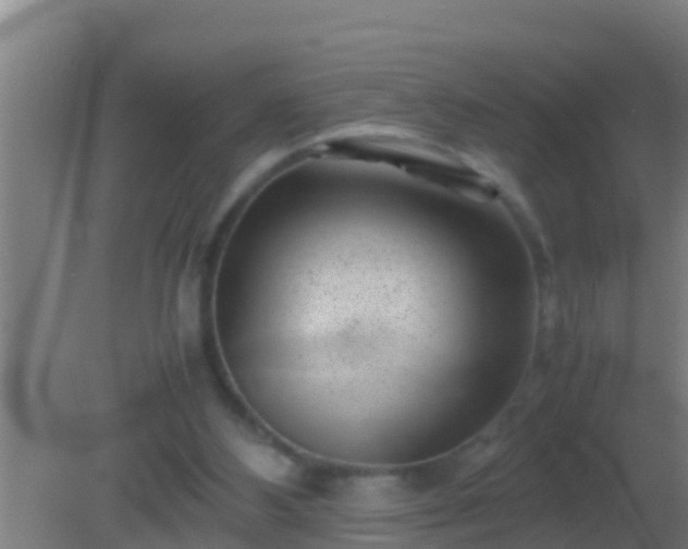 X0000082170108200701270010