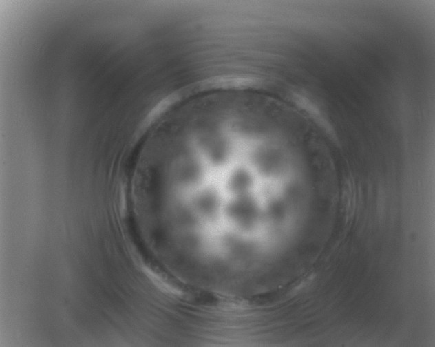 X0000082170110200701270010