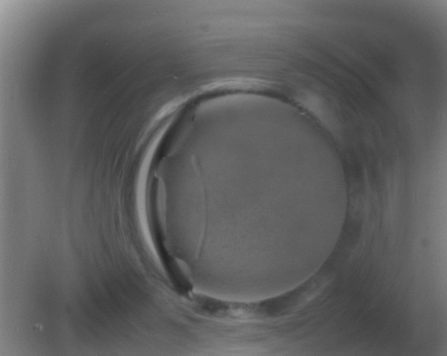 X0000082170111200701270010