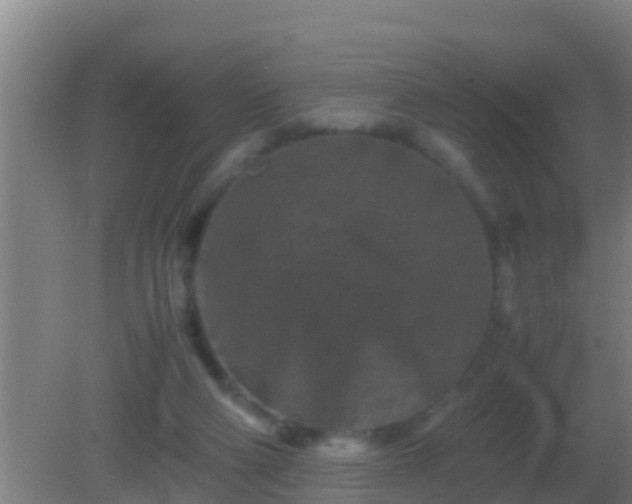 X0000082170114200701270010