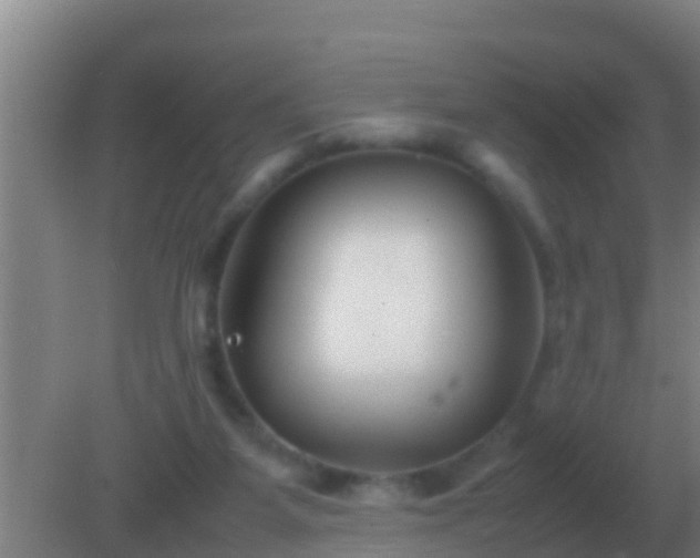 X0000082170115200701270010