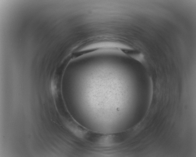 X0000082170116200701270010