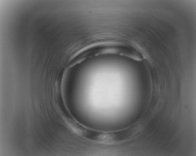 X0000082170117200701270010