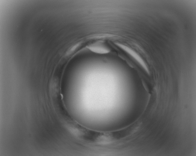 X0000082170119200701270010