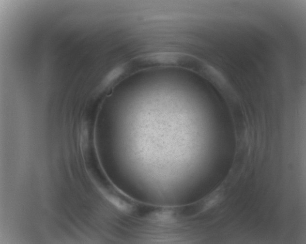 X0000082170120200701270010