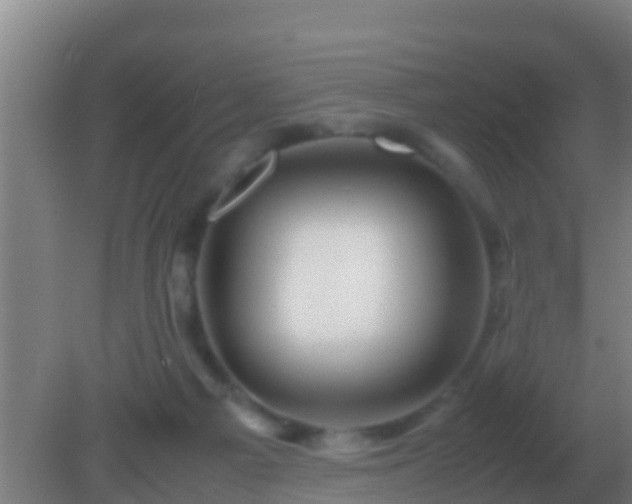 X0000082170121200701270010