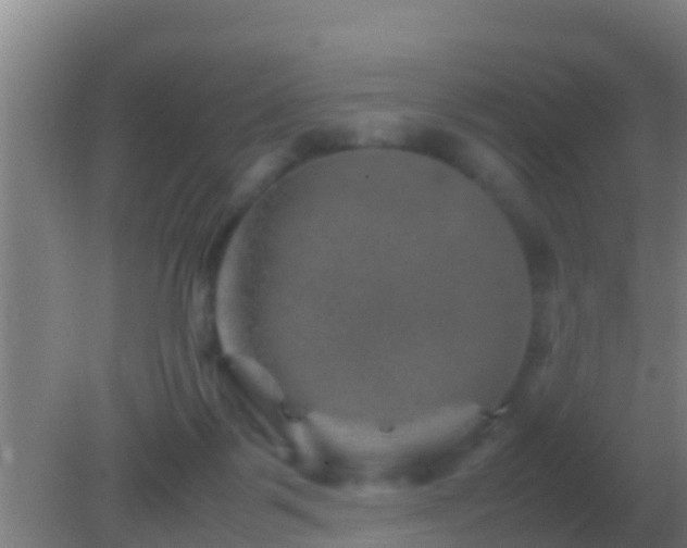 X0000082170123200701270010