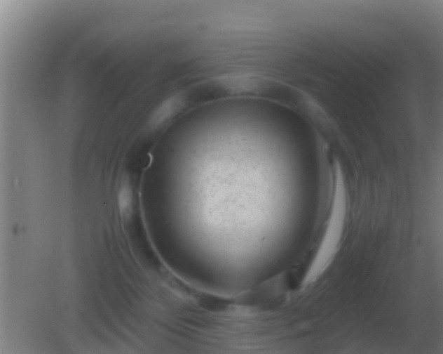 X0000082170124200701270010