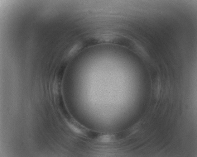 X0000082170126200701270010