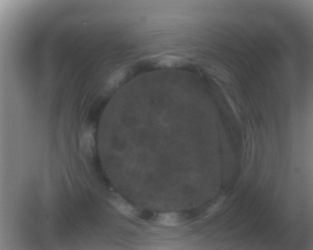 X0000082170127200701270010