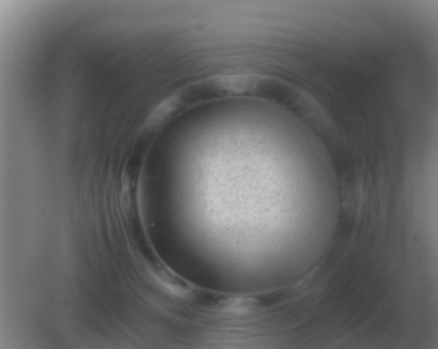 X0000082170128200701270010