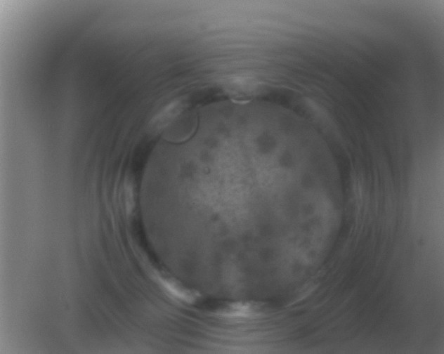 X0000082170130200701270010