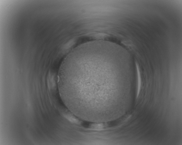 X0000082170131200701270010