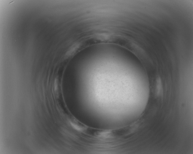 X0000082170132200701270010