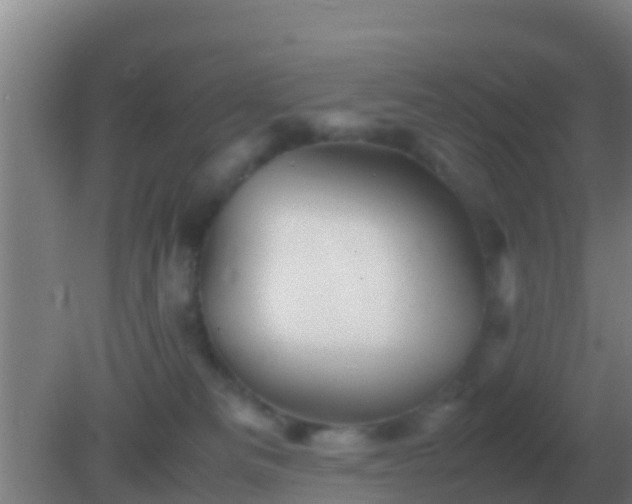 X0000082170133200701270010