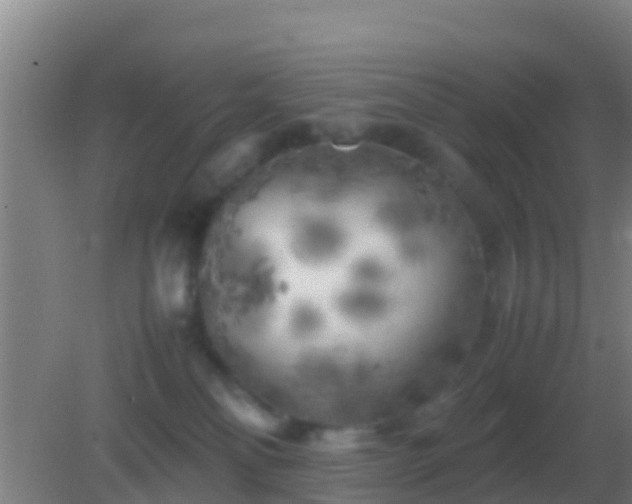 X0000082170134200701270010