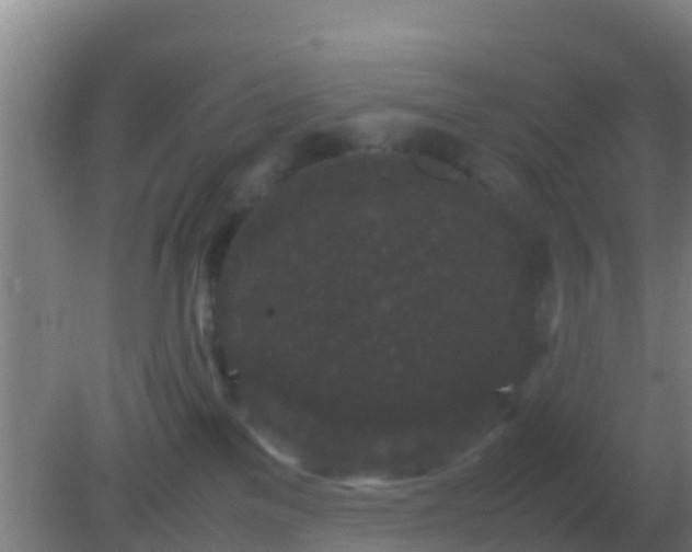 X0000082170137200701270010