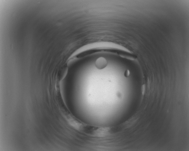 X0000082170138200701270010