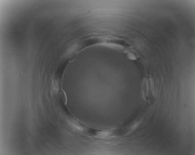 X0000082170139200701270010