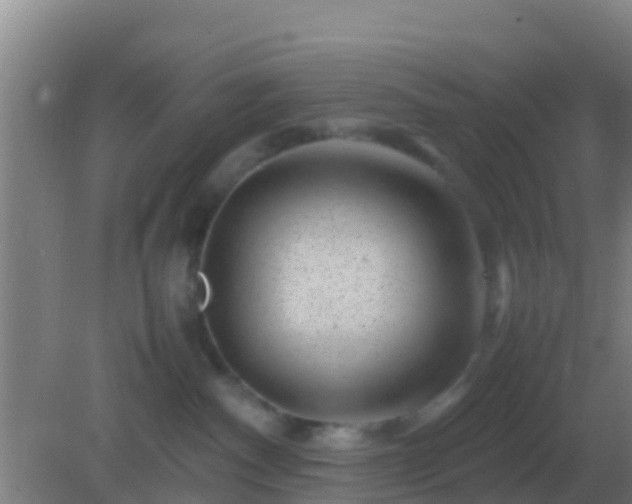 X0000082170140200701270010