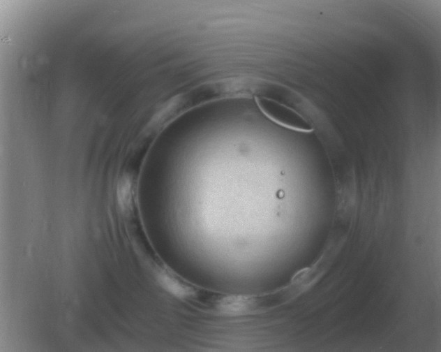 X0000082170142200701270010