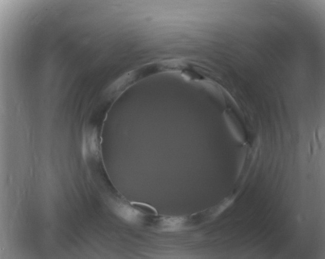 X0000082170143200701270010