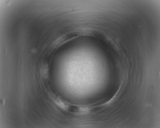 X0000082170144200701270010