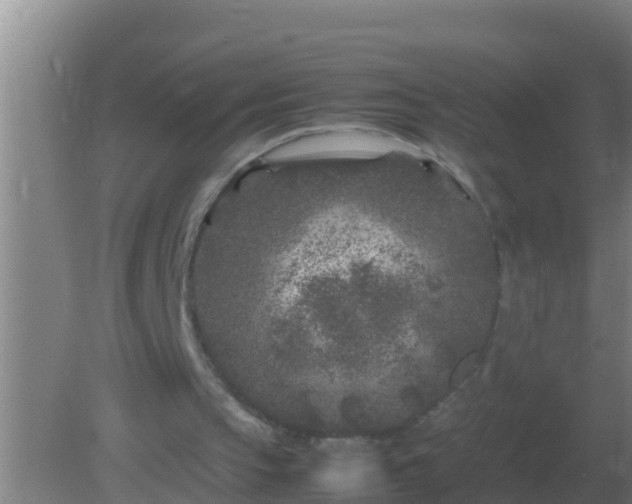 X0000082170145200701270009