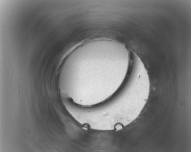 X0000082170146200701270009