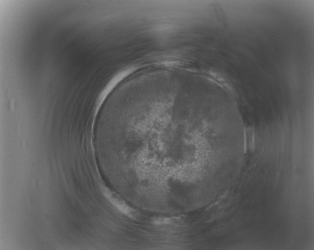 X0000082170147200701270009