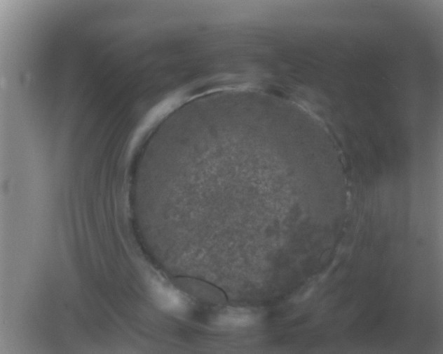 X0000082170149200701270009