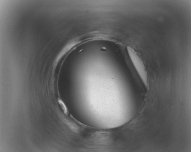 X0000082170150200701270009