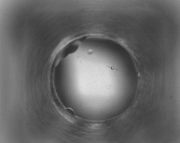 X0000082170151200701270009