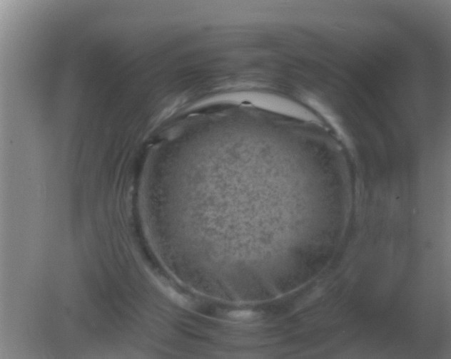 X0000082170153200701270009