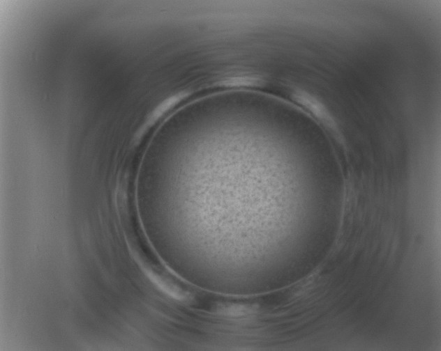 X0000082170155200701270009