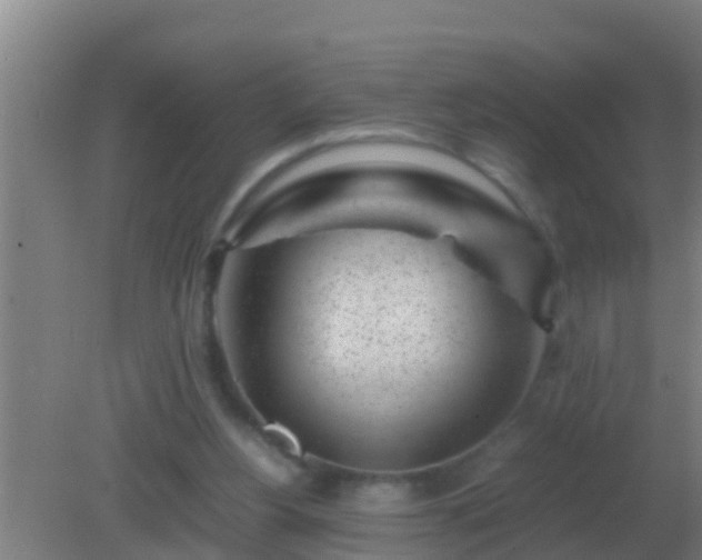 X0000082170156200701270009