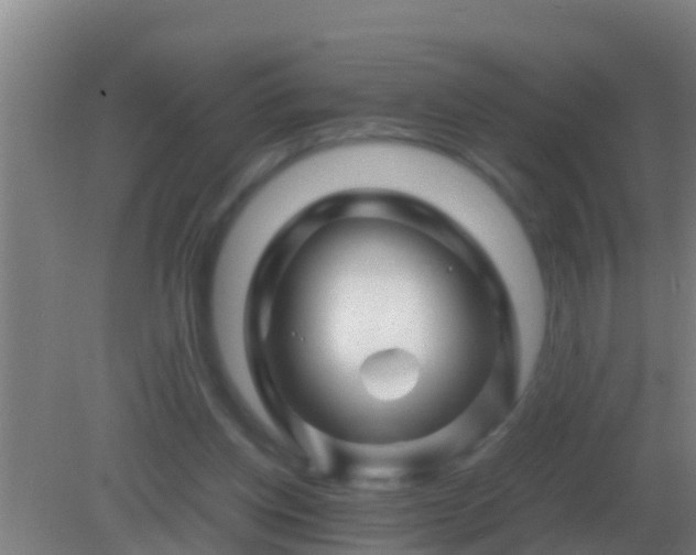 X0000082170158200701270009