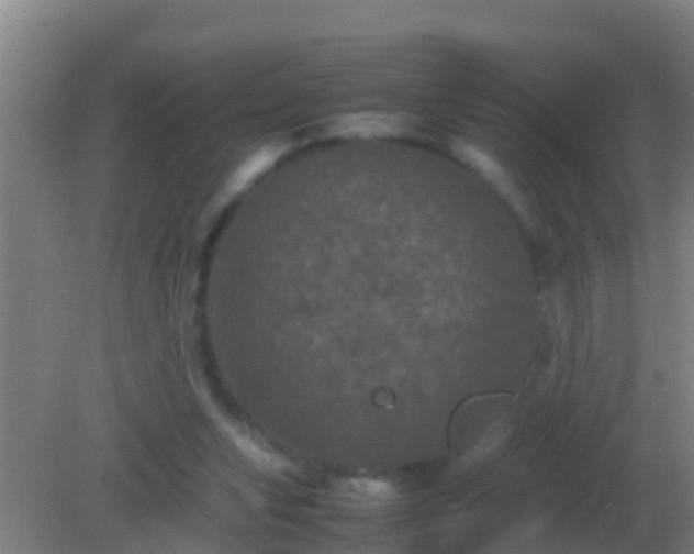 X0000082170159200701270009