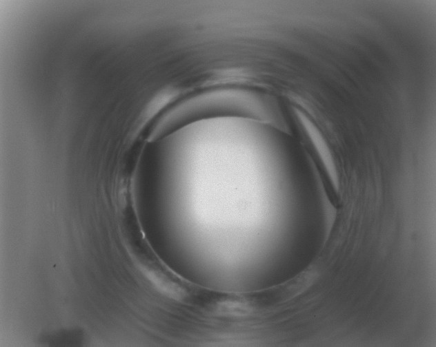 X0000082170160200701270009