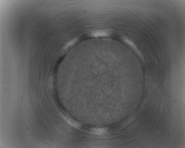 X0000082170161200701270009