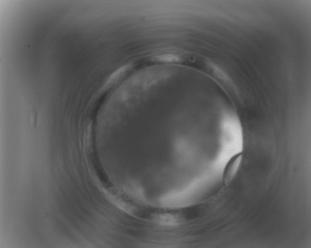 X0000082170163200701270009