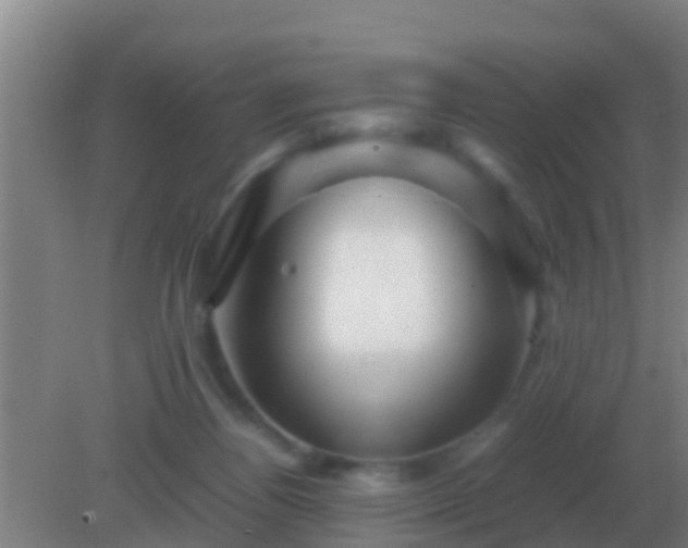 X0000082170164200701270009