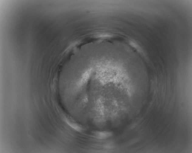 X0000082170165200701270009