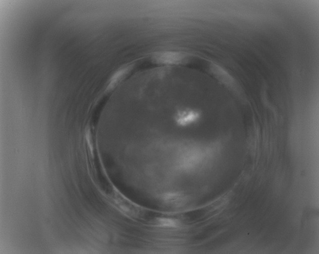 X0000082170167200701270009