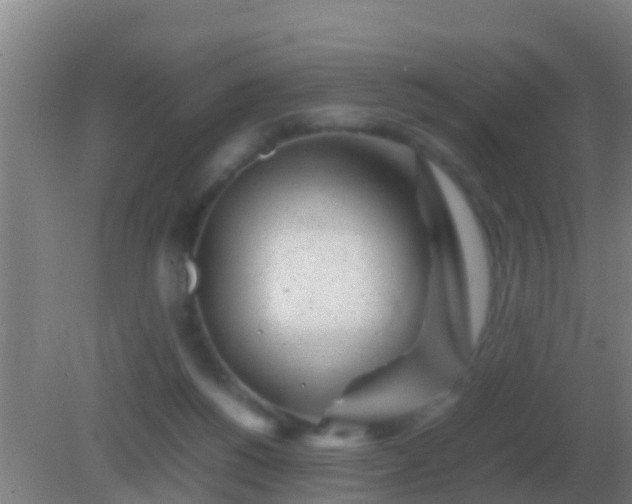 X0000082170168200701270009